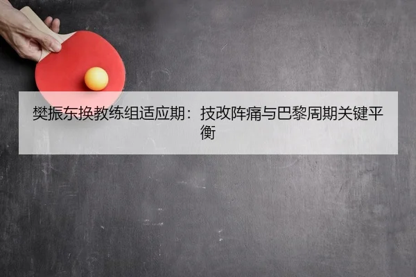 樊振东换教练组适应期：技改阵痛与巴黎周期关键平衡